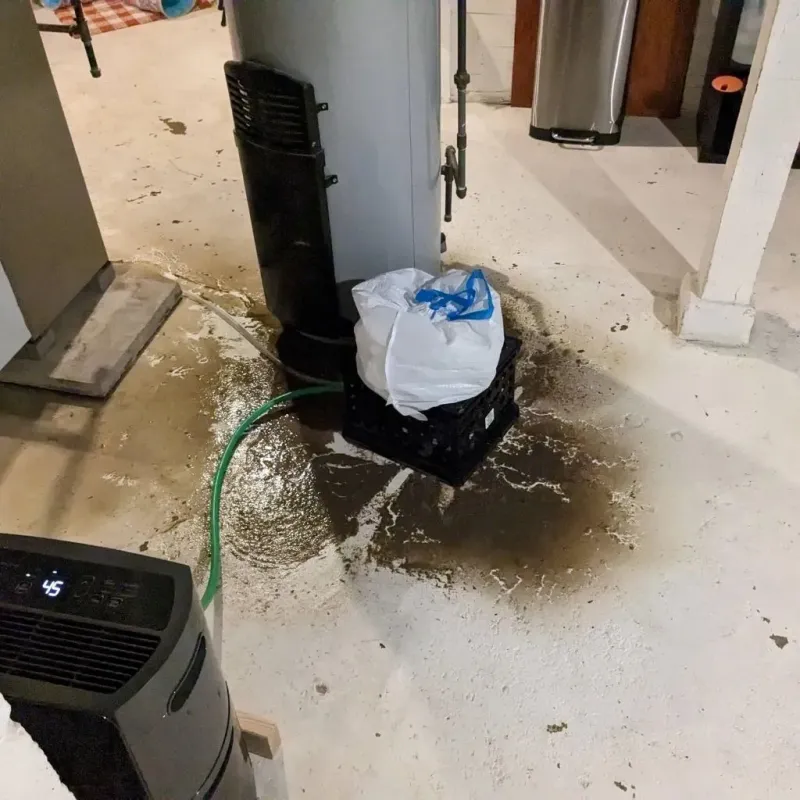 Sewage Backup Cleanup Service in Hawaiian Gardens, CA